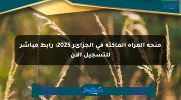 منحة المرأة الماكثة في الجزائر 2025: رابط مباشر للتسجيل الآن